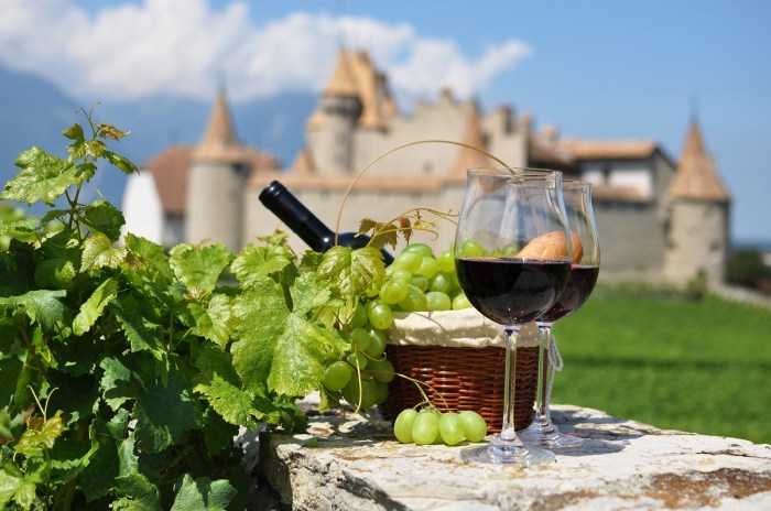 Wine and food trails in France