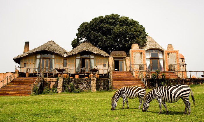 Best luxury safari holidays