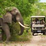 Best luxury safari holidays